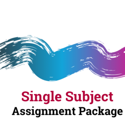 Best Assignment Service provider